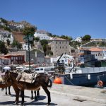 One Day Cruise to Aegina, Poros & Hydra